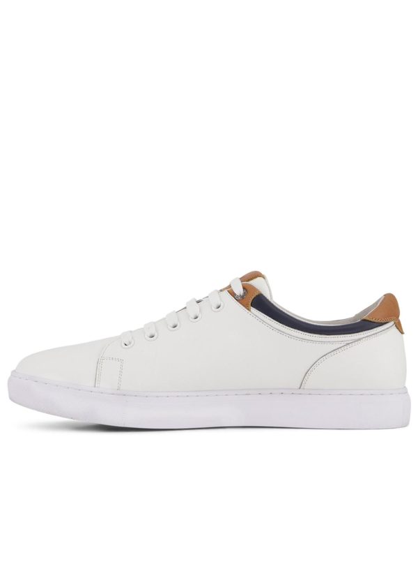 Aetherattire.shop8eabd237f0 5